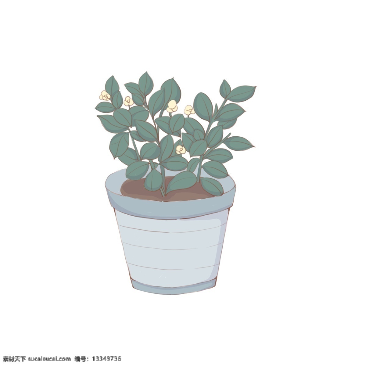 手绘 植物 蓝色 小 盆栽 小盆栽 小苗
