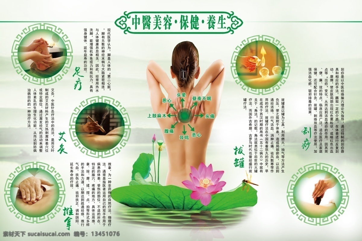 养生 中医 推拿荷花 艾灸拔罐 中国风
