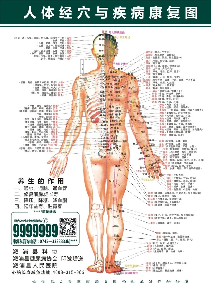 人体 穴 疾病 康复 图 经穴 养生的作用 心脑长寿 经络详图