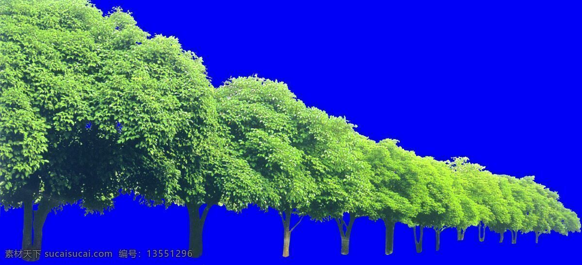 树丛 植物 多棵 树群 配景素材 园林植物 园林 建筑装饰 设计素材 蓝色