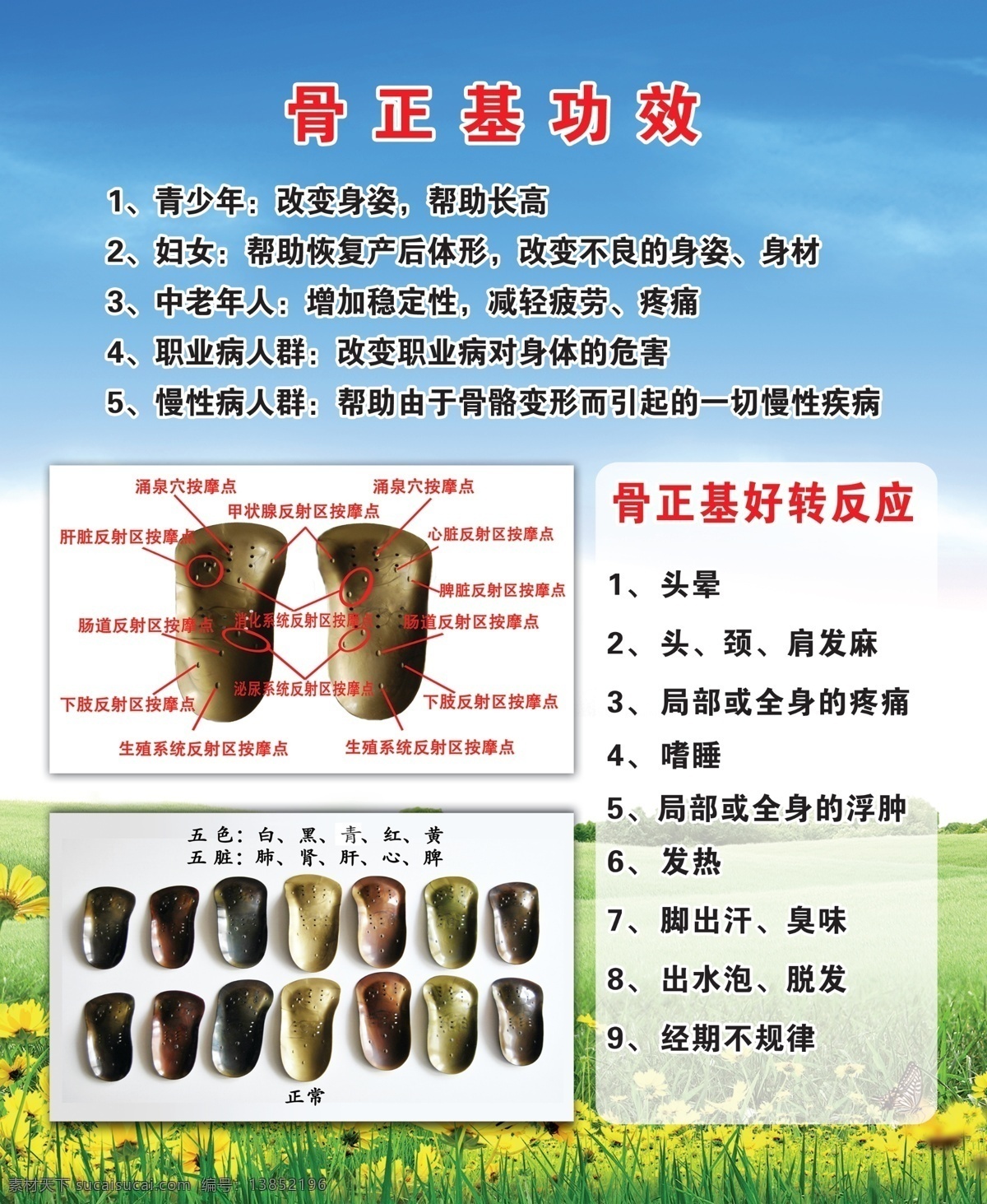 骨正基功效 骨正基 骨头图 各种骨头图 蓝天 白云 绿地 小花 展板模板