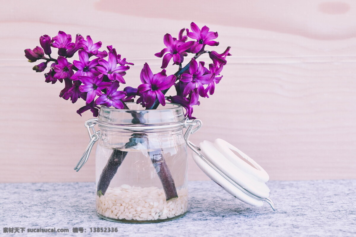 紫色 风信子 插画 高清 小清新 紫色花朵 插花