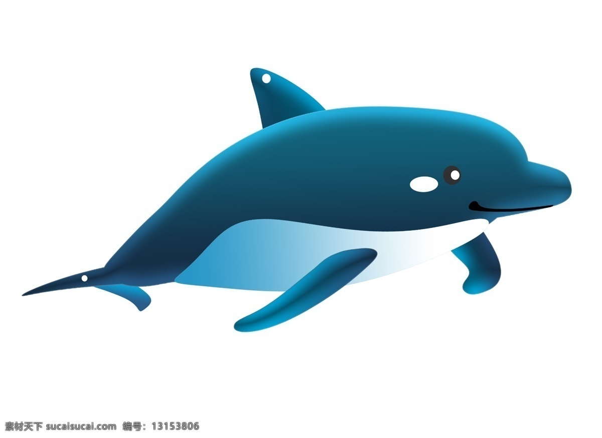 深色海洋海豚 海豚 动物 生物