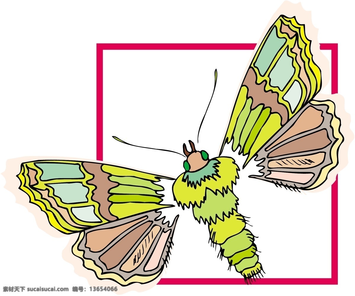 五彩蝴蝶 矢量素材 格式 eps格式 设计素材 昆虫世界 矢量动物 矢量图库 白色
