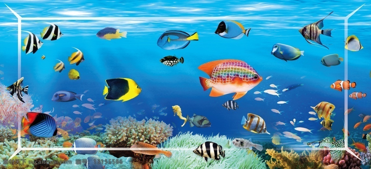 海洋鱼水族馆 海洋 鱼 水族馆 壁纸 画 装饰 唯美 招贴设计