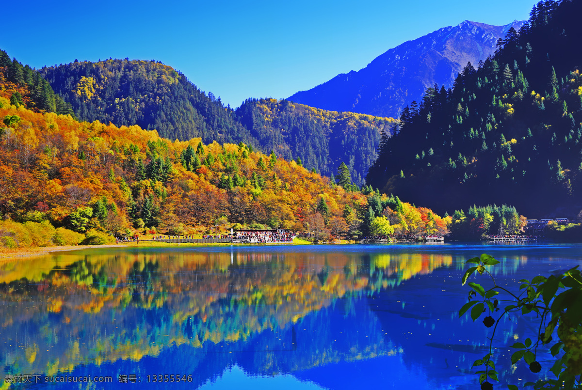 九寨秋色 九寨沟 秋色 山水 风景 秋天 九寨 山水风景 自然景观