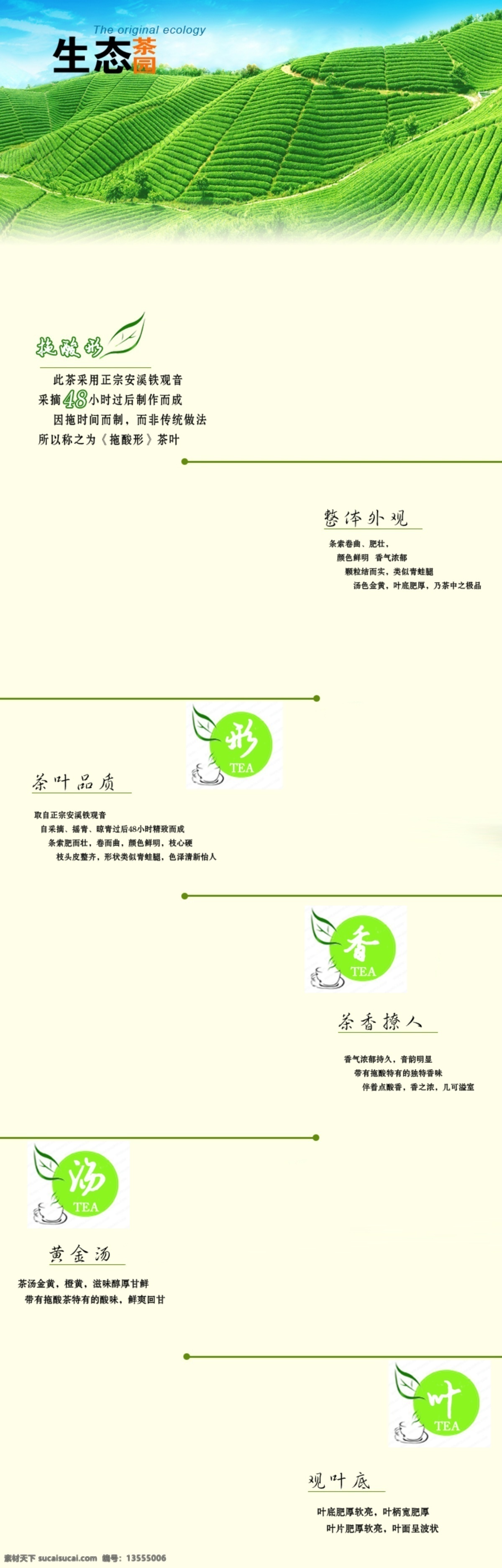 茶叶 宝贝 详情 介绍 铁观音 详情介绍 中文模版 网页模板 源文件 淘宝界面设计 淘宝装修模板