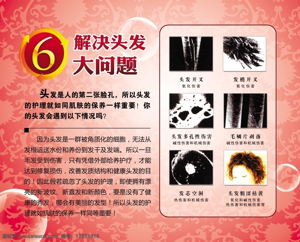 头发 问题 分层 背景 底纹 花纹 箭头 气泡 源文件 模板下载 头发问题 矢量图 其他矢量图