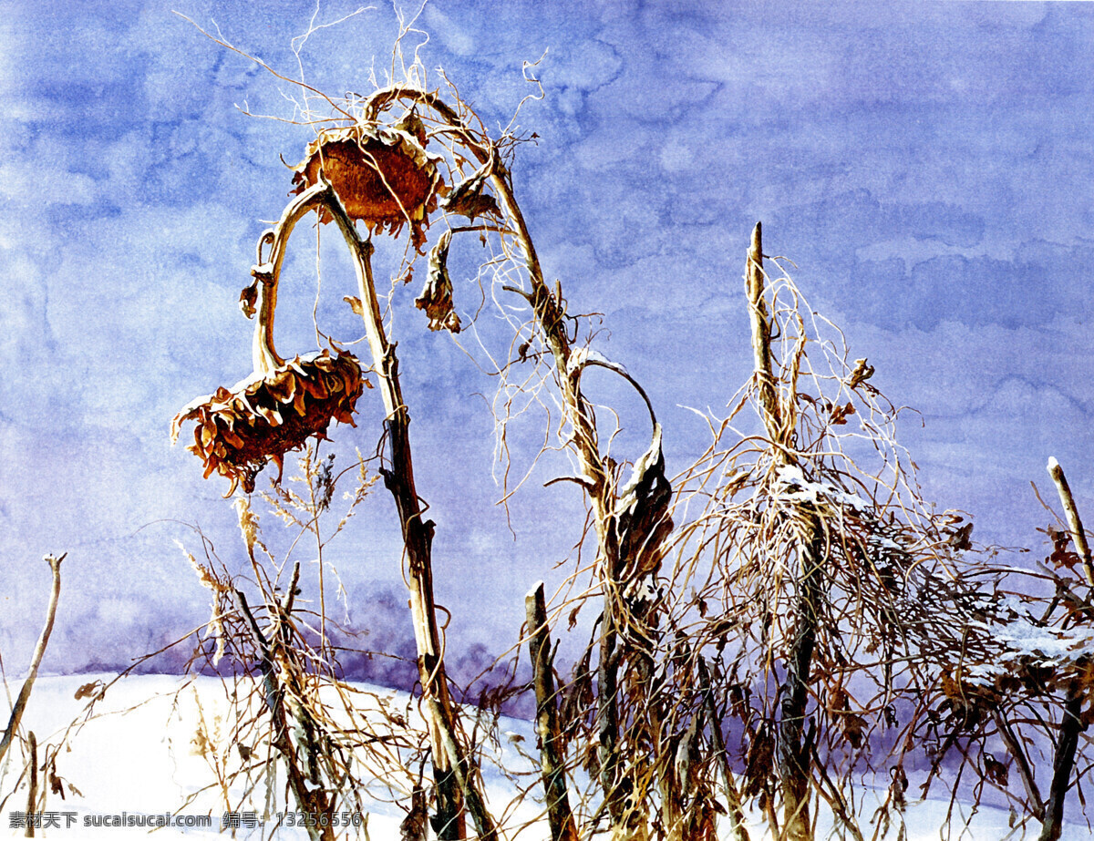 绘画书法 水彩风景画 太阳花 文化艺术 向日葵 傲雪设计素材 傲雪模板下载 傲雪 冬天雪地 农村风景画 王可 大 水彩 画集 家居装饰素材 山水风景画