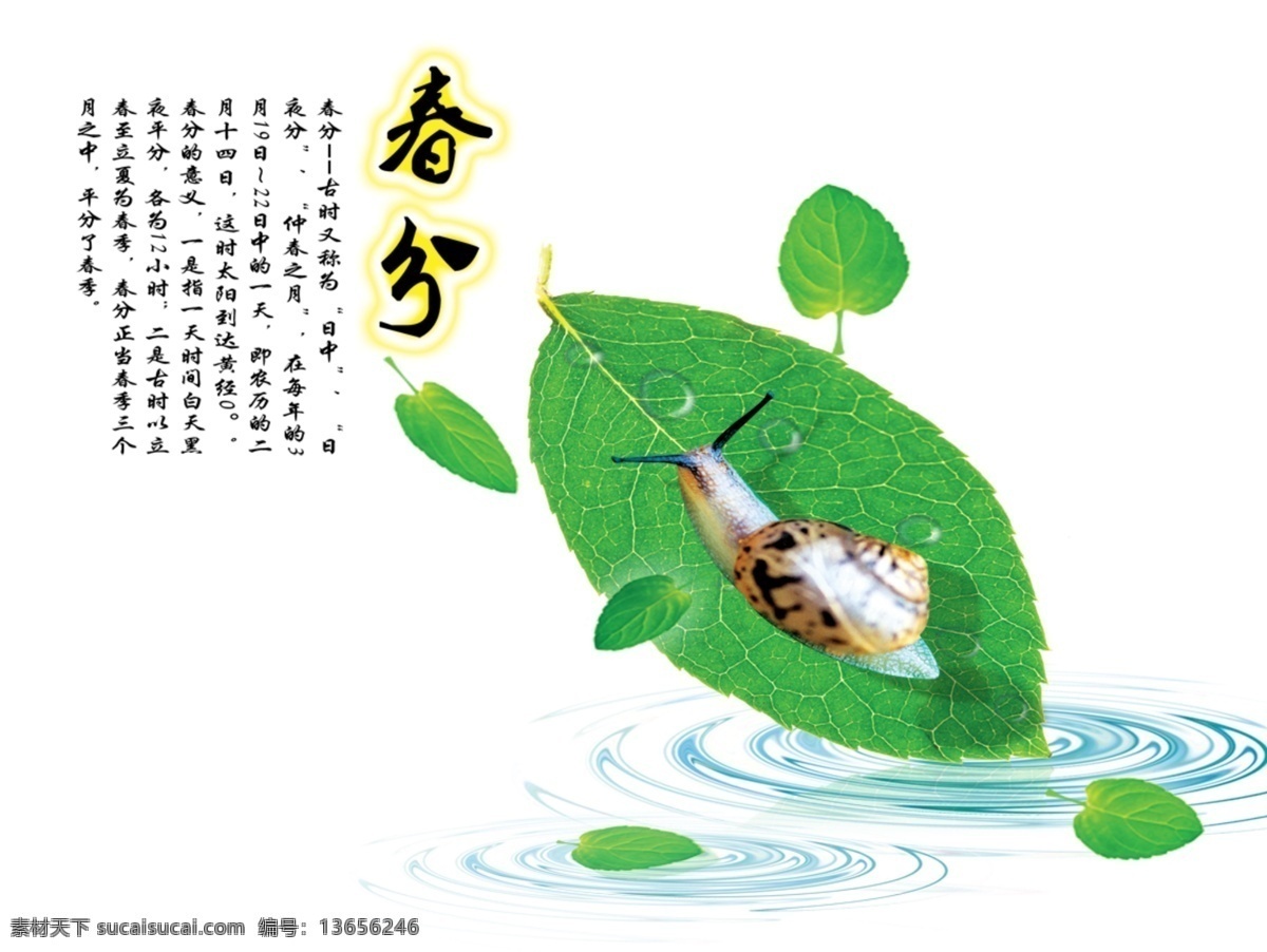 清新 湖面 自然 春分 节气 节日 元素 树叶 蜗牛 传统文化 水滴 节日元素 涟漪 中文