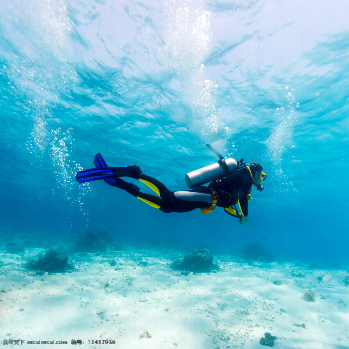 潜水运动 潜水员潜水 潜水员 潜水镜 海底世界 海洋 海洋世界 大海 海底 深海 潜水 人物图库 职业人物