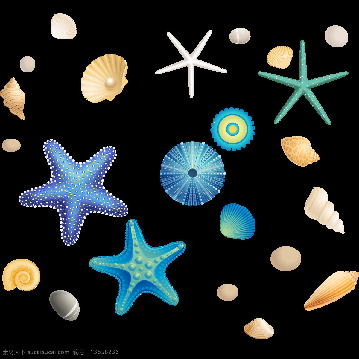 卡通 贝壳 珍珠 海星 元素 png元素 海底世界 免抠元素 童趣 透明元素
