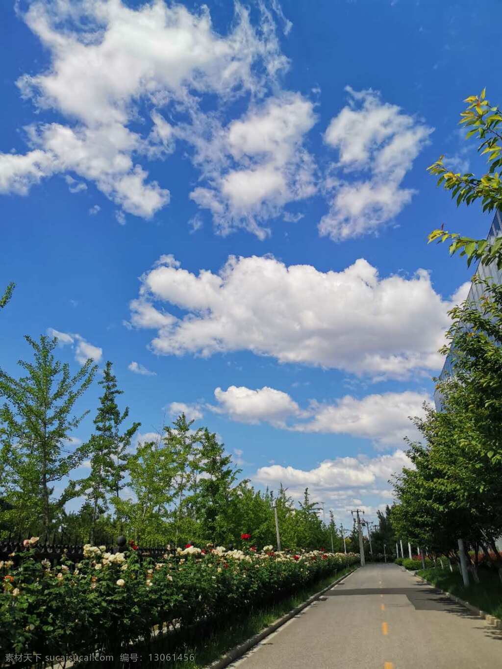 蓝天下的路 夏日 蓝天 白云 小路 惬意 自然景观 自然风景