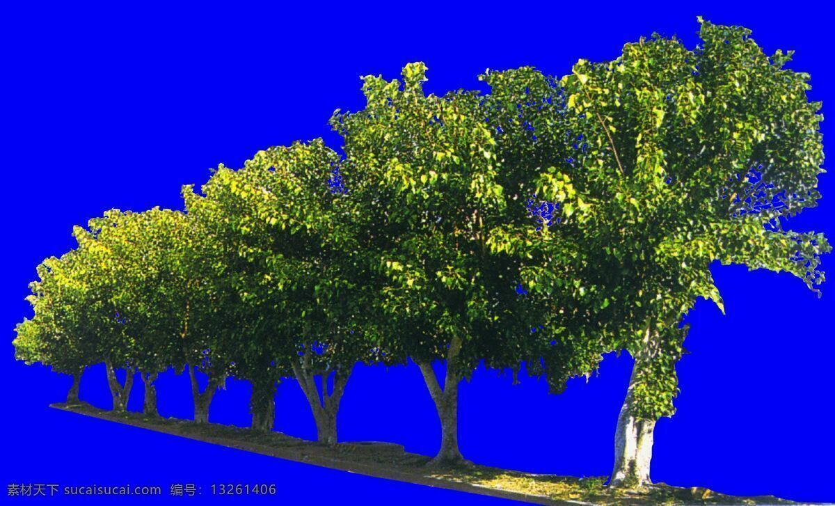 树丛 植物 多棵 树群 配景素材 园林植物 园林 建筑装饰 设计素材 蓝色