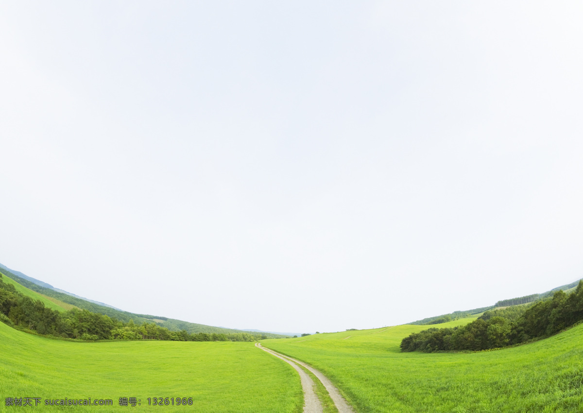 草地 蓝天 草地蓝天 蓝天白云 蓝天白云草地 白云 绿 蓝天白云素材 蓝天背景 蓝天草地 蓝天绿地 风景 生活 旅游餐饮