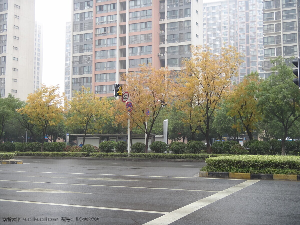 马路边的秋天 秋天 秋季 三秋 红叶 黄叶 马路 街道 中吴大道 常州 落叶 金秋 高楼 城市建筑 雨天 建筑园林 建筑摄影