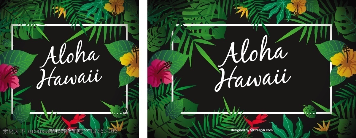 阿罗 夏威夷 背景 花卉 夏季 树叶 花卉背景 黑色背景 黑色 广场 热带 平面 植物 平面设计 棕榈