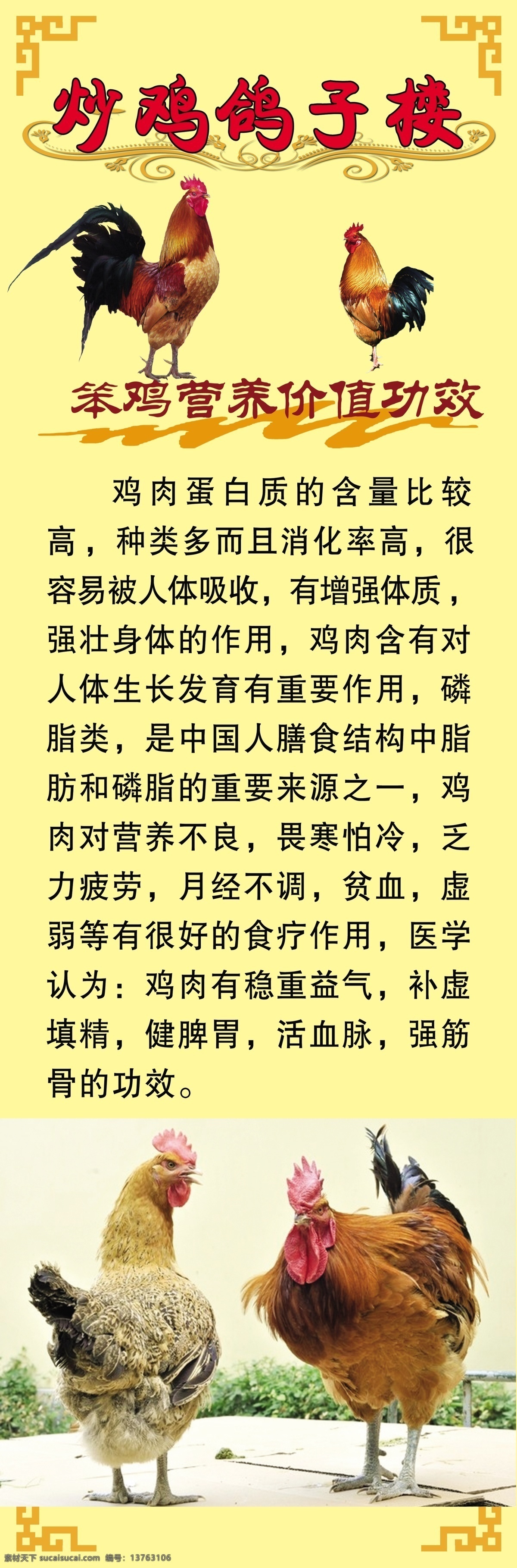 炒鸡鸽子楼 炒鸡 公鸡 母鸡 炒鸡简介 黄底 笨鸡 笨鸡营养价值 展板 展板模板