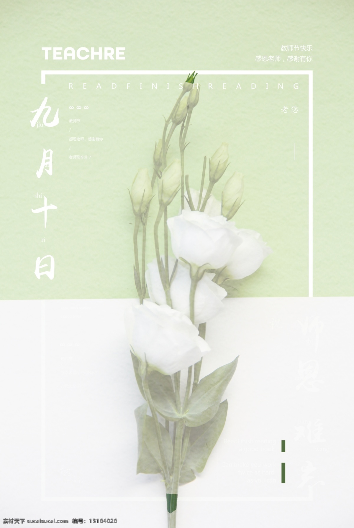 简洁 清新 九月 十日 师恩 难忘 展板 教师节 感恩 教师海报 教师节海报 花朵 鲜花