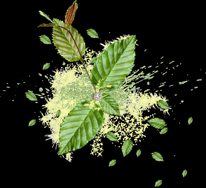 可爱 常见 蝴蝶 小 装饰 透明 合集 免 扣 黑色 墨水 扇子 设计元素 树叶 水滴 植物 装饰图案