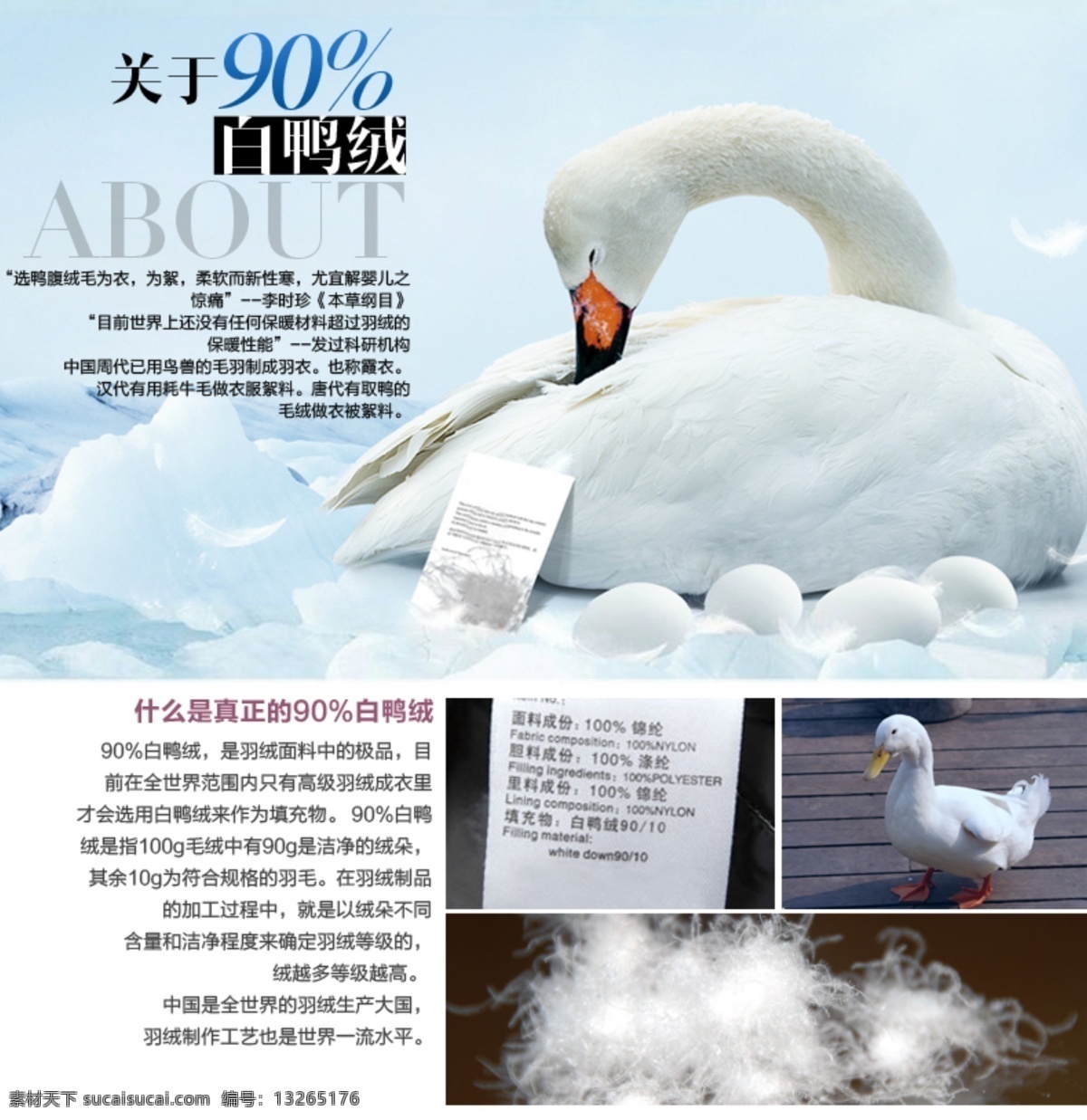 白鸭绒 模版下载 天猫 淘宝 拍拍 京东 宝贝详情页 羽绒服 鸭 中文模板 网页模板 源文件 淘宝界面设计 淘宝装修模板
