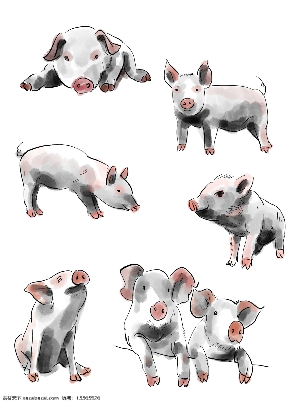 水墨 猪 卡通 手绘 动物 文化艺术