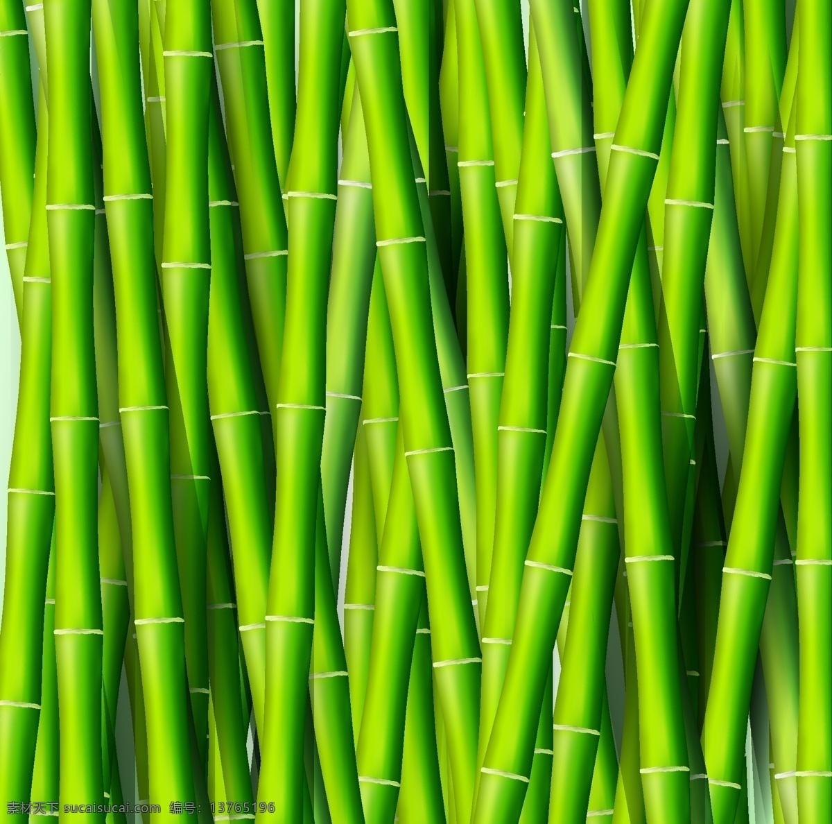 绿色 清新 竹子 背景 夏天