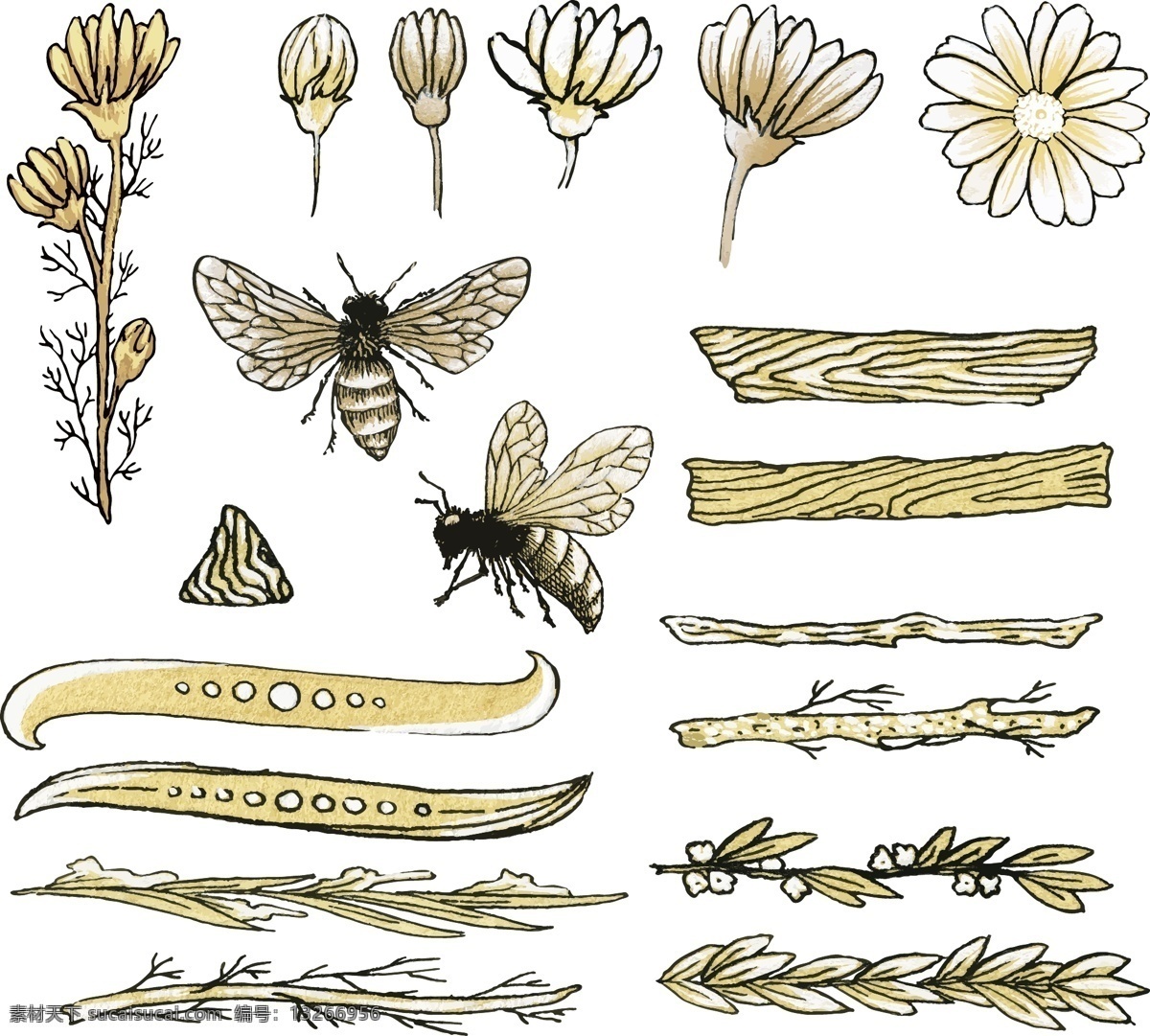 蜜蜂 矢量 装饰 创意 简约 矢量素材 背景素材 设计素材