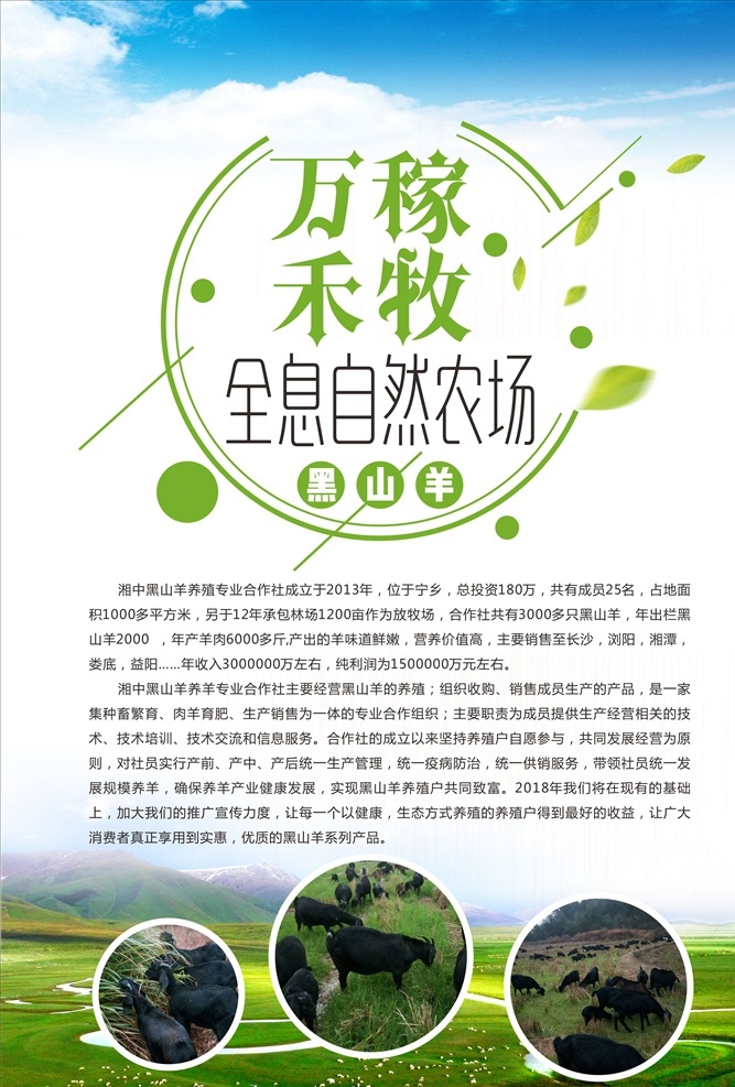 黑山羊海报 农场 黑山羊 山羊 海报 单元 宣传单 蓝天白云