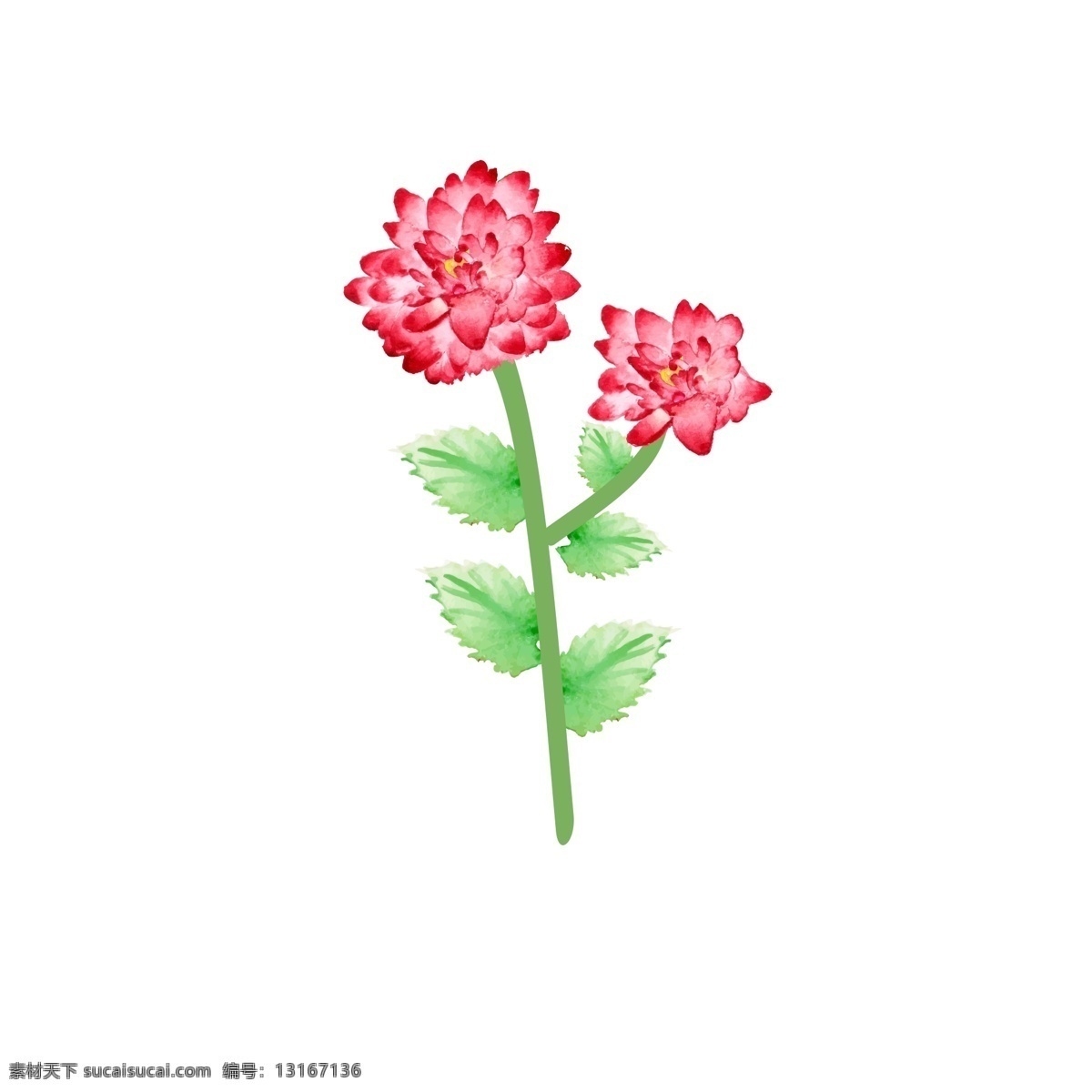 植物 花朵 粉色 鲜花 树枝 花香 迷人 花卉 叶子 春天 季节 绿色