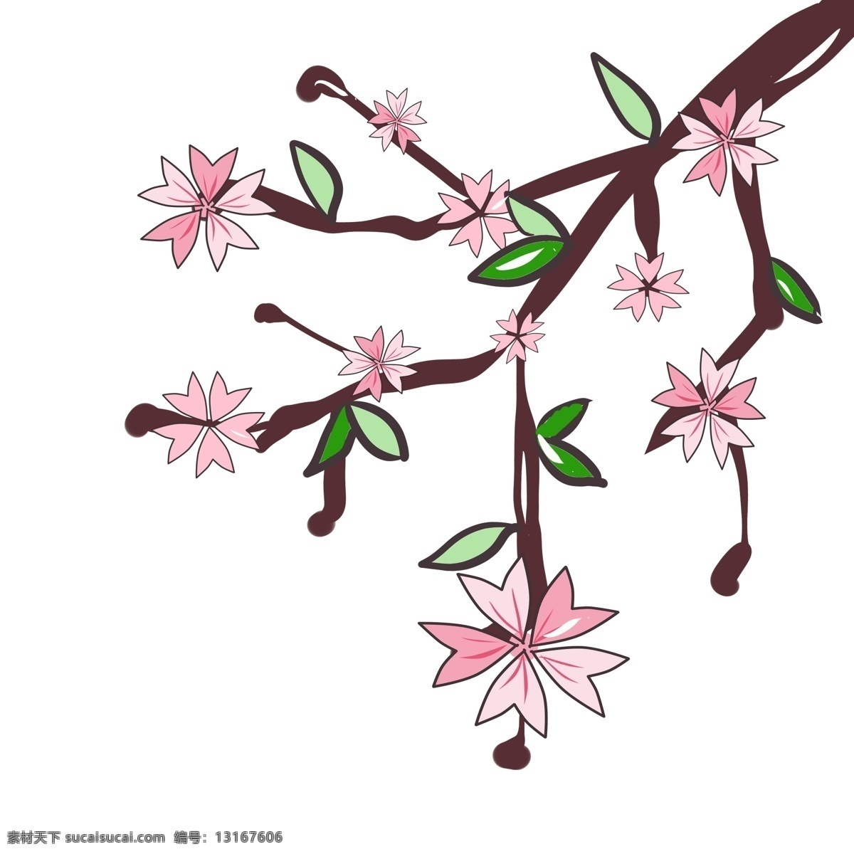 粉色 春天 樱花 插图 一枝樱花 花朵 樱花枝 粉色樱花 春天樱花插图 春天樱花 花儿 叶子