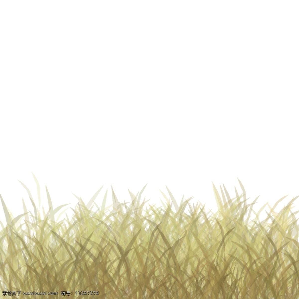 手绘 卡通 杂草 枯黄 草地 植物 植被 风景 视觉 自然