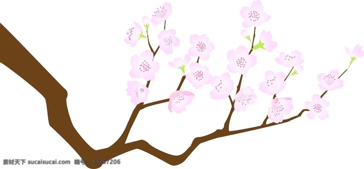卡通 粉色 樱花 矢量 卡通的 卡通的樱花 日本樱花 浪漫樱花 浪漫的樱花 粉色的樱花