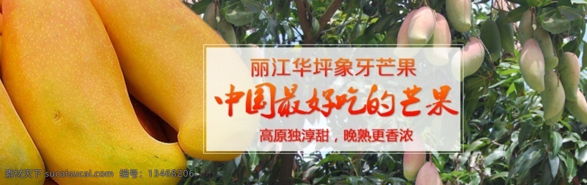 象牙 芒果 海报 芒果海报 水果 banner 水果淘宝海报 原创设计 原创淘宝设计