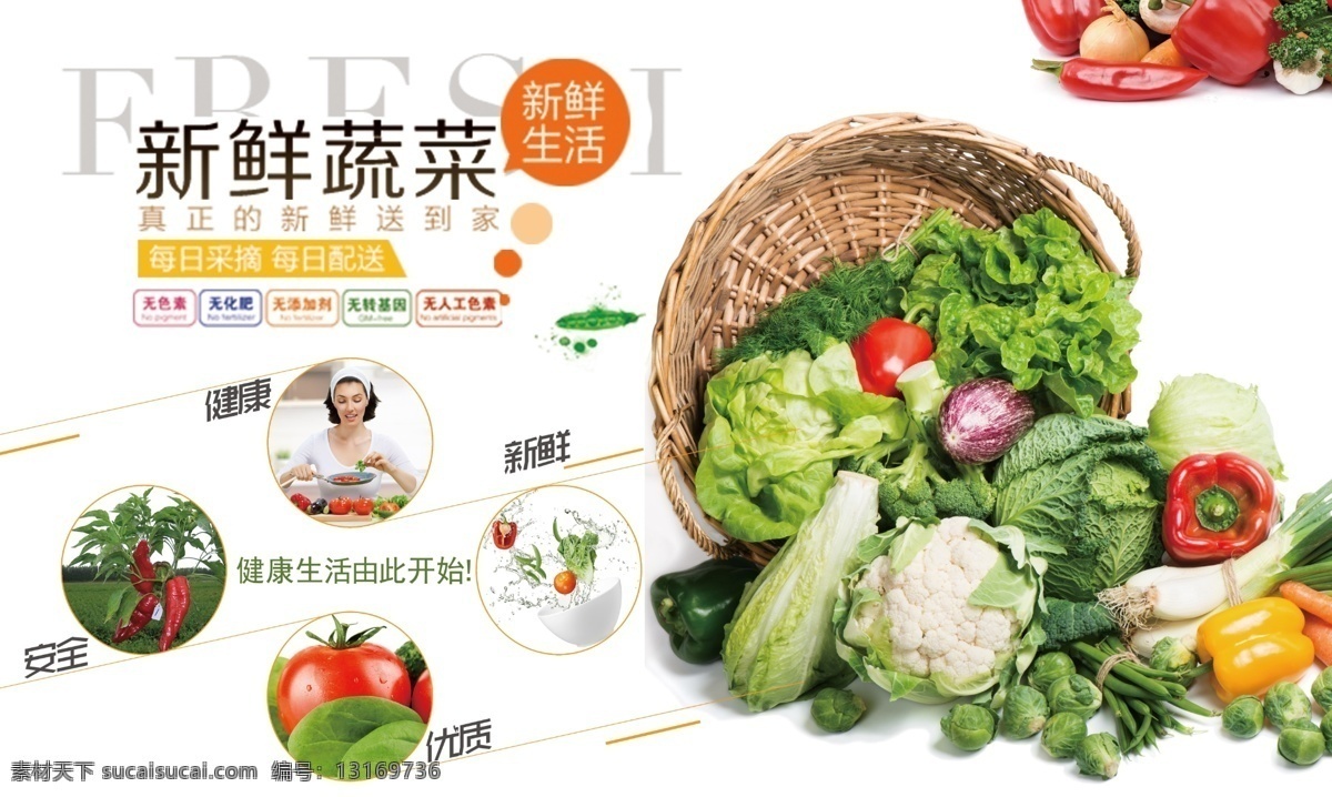 鲜 蔬菜 宣传 展板 新鲜蔬菜 宣传展板 广告 海报