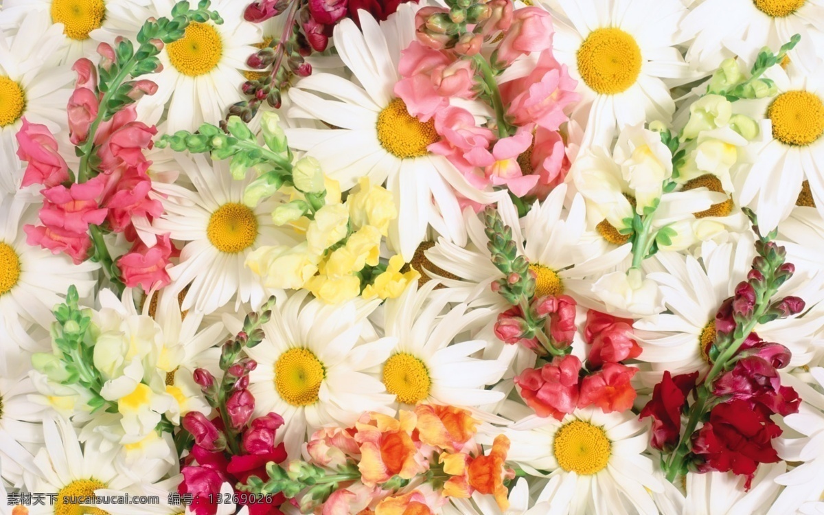 花朵背景 banner 淘宝 海报 背景 图 全 屏 合成背景 促销电商海报 淘宝素材 轮播图片背景 1920 促销海报背景 淘宝背景 白色