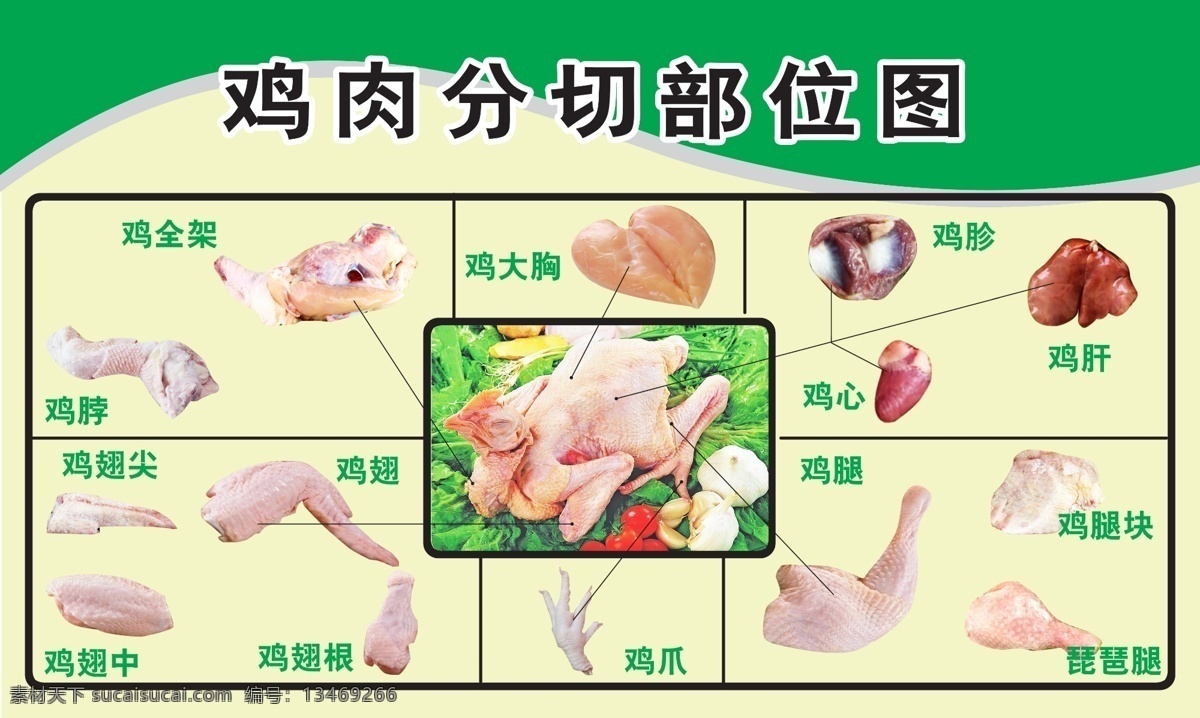 鸡分割部位图 鸡分切图 鸡 鸡肉 肉 部位图 分切图 分层 源文件