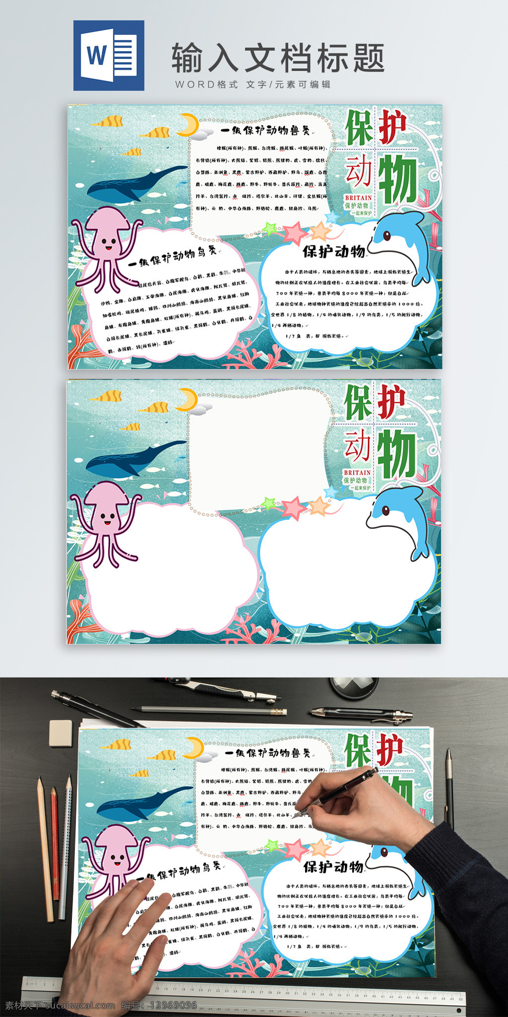 保护 动物 手 抄报 wodr 小报 小清新 手抄报