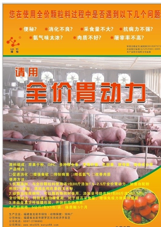 猪饲料海报 海报 猪饲料 猪场 橙色 胃动力 矢量