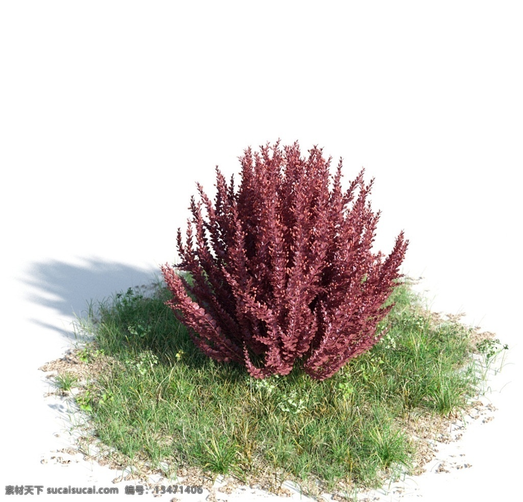 紫叶小檗 树木模型 园林树木 园林植物 灌木 花模型 植物模型 aimodel 高质量 景观 树木 模型 3d设计 室外模型 max