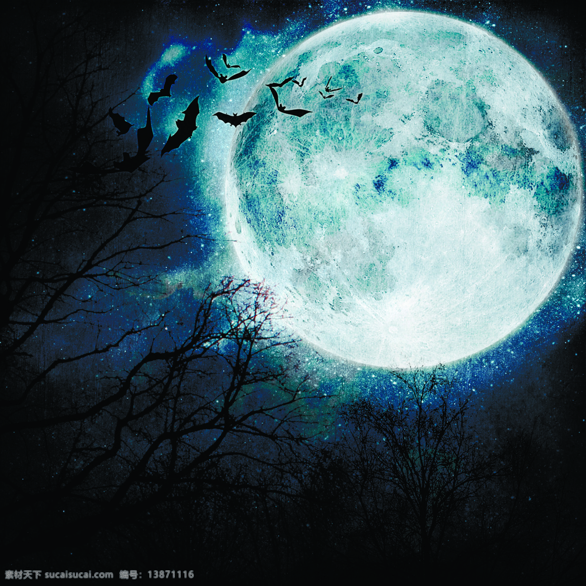 万圣节 夜晚 月亮 万圣节夜晚 月夜 蝙蝠 万圣节素材 节日庆典 生活百科