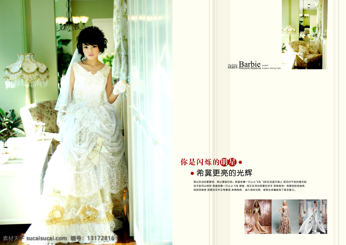 盛世 芭比 画册设计 婚纱 美丽 美女 女人 情侣 人物 盛世芭比 时尚 性感 其他画册封面