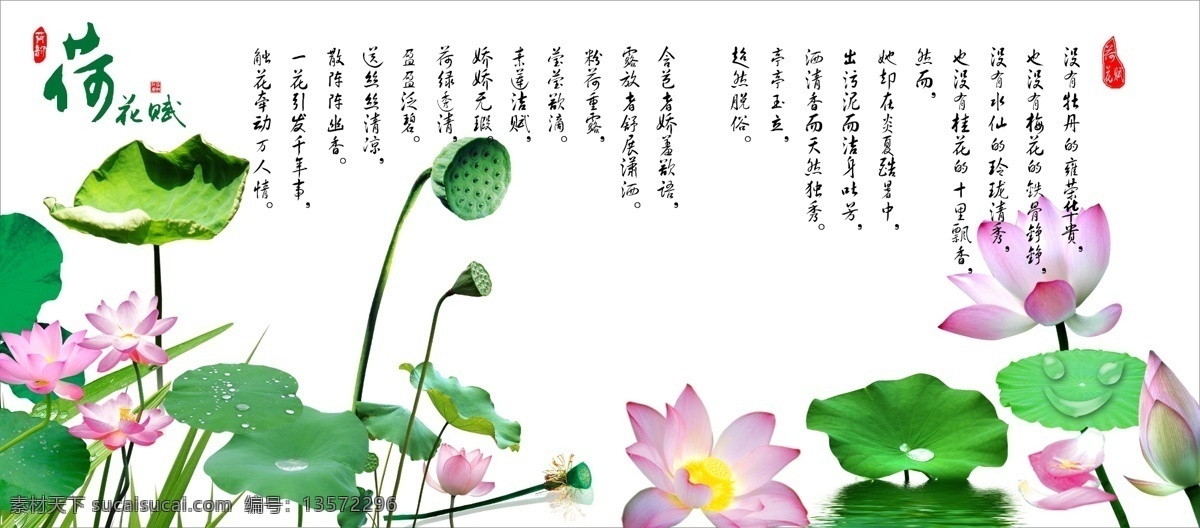 荷叶 莲蓬 诗词 荷花赋
