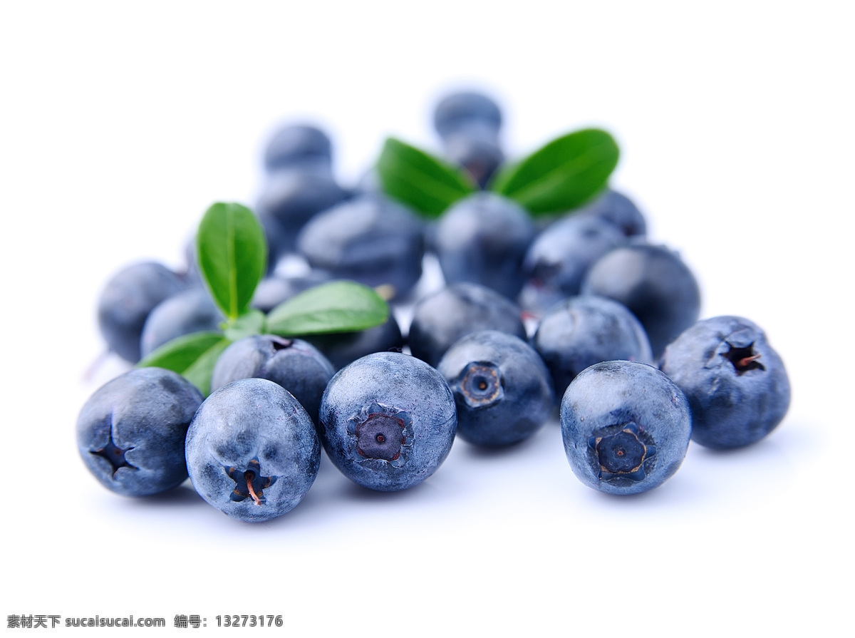 新鲜 蓝莓 高清 背景 水果 鲜果