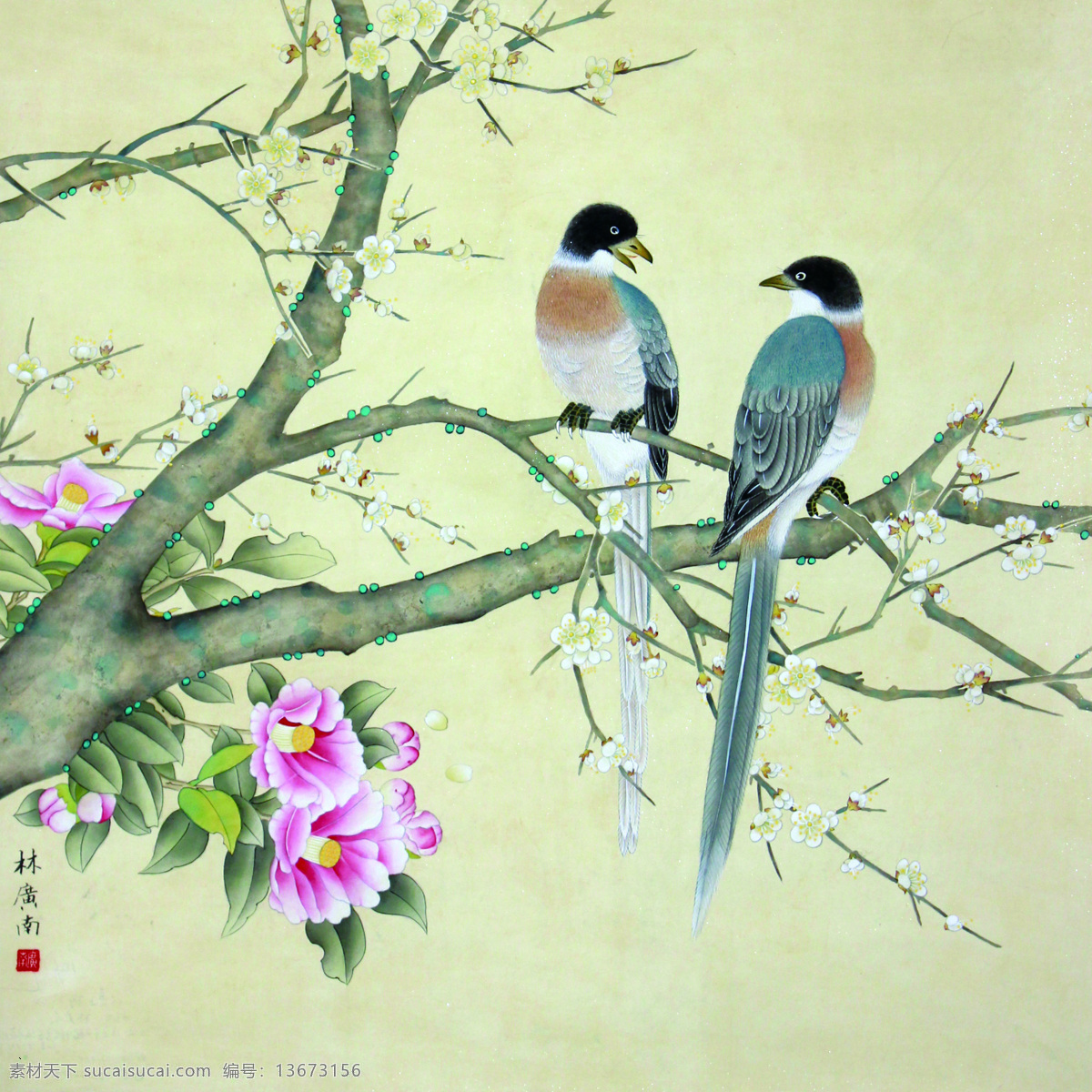国画一对小鸟 国画 牡丹 树枝 小鸟 黄色