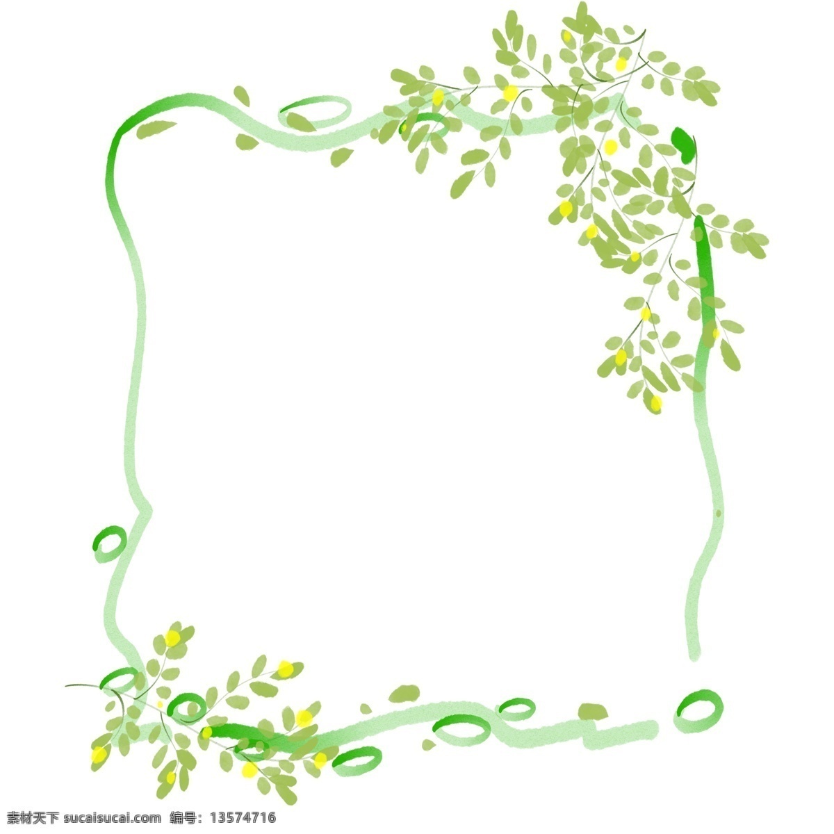 绿色 植物 叶子 插画 绿色的叶子 卡通边框 植物边框 植物叶子 植物花朵 创意边框 绿色的边框