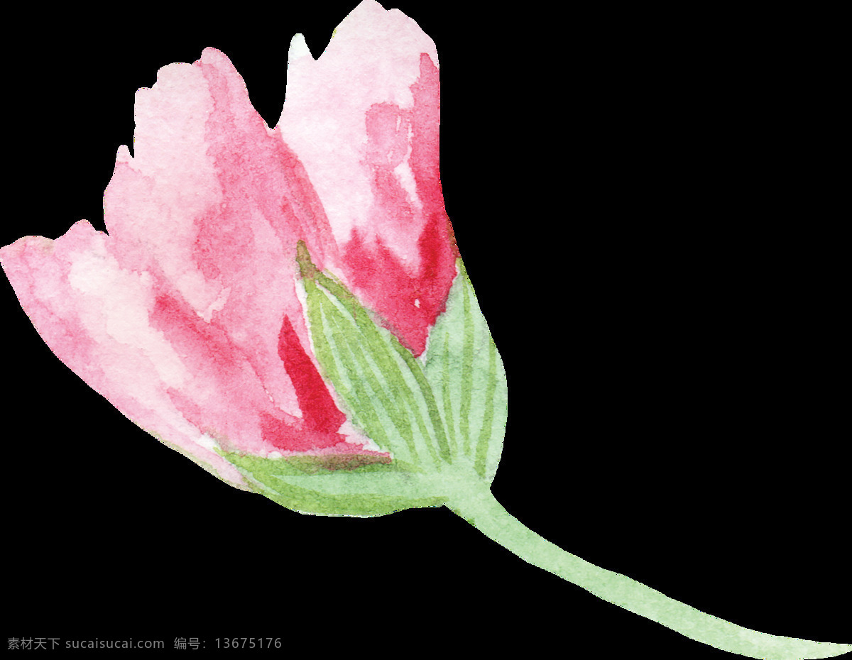 粉嫩 花叶 卡通 水彩 透明 花束 粉色 透明素材 免扣素材 装饰图案