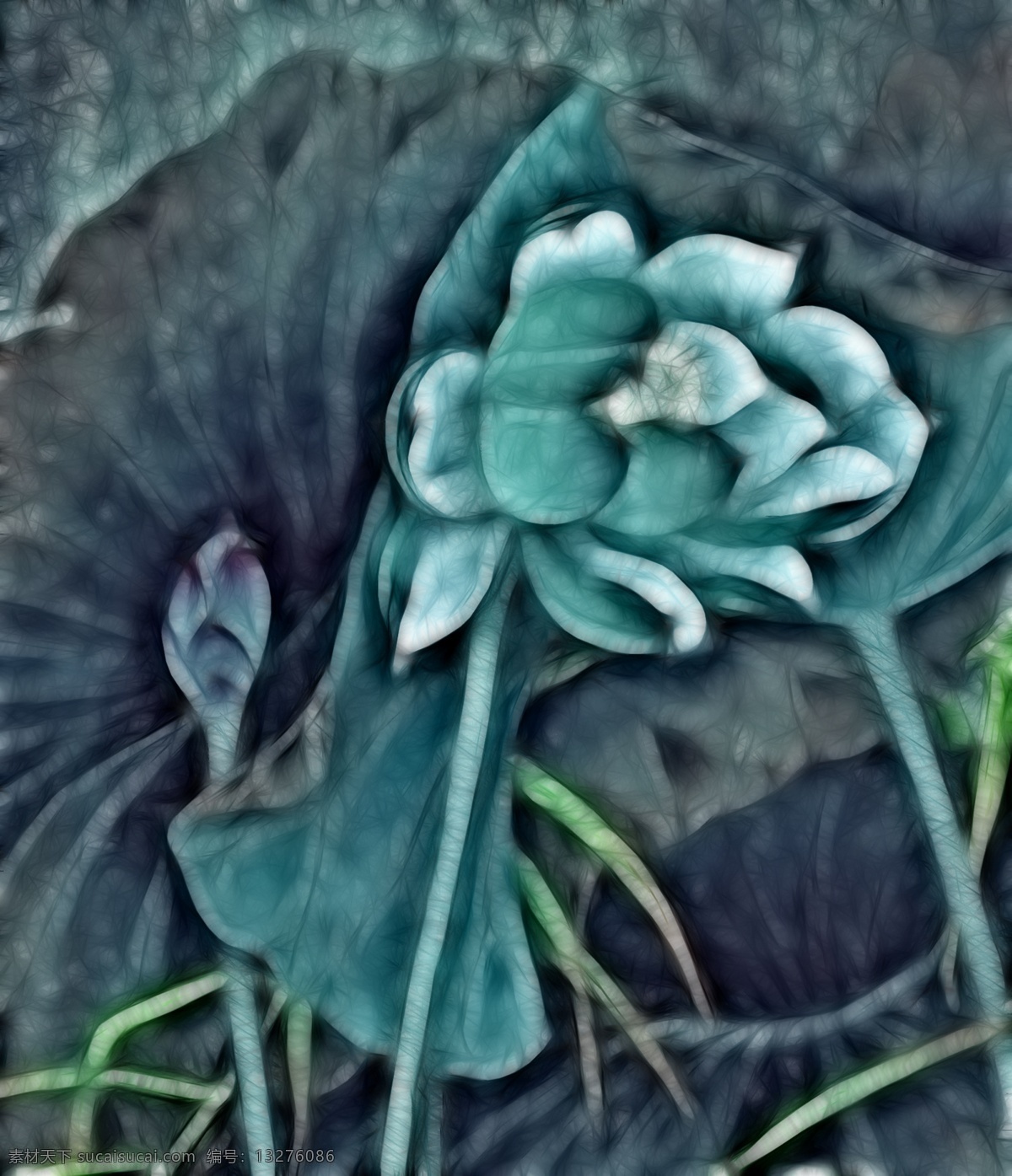 荷花 装饰画 荷叶 花卉 花蕾 水草 家居装饰素材 无框画