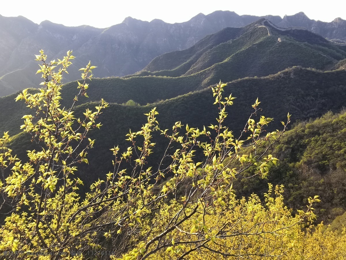 山上的春天 山 远山 嫩绿 山脊 余辉 自然景观 山水风景