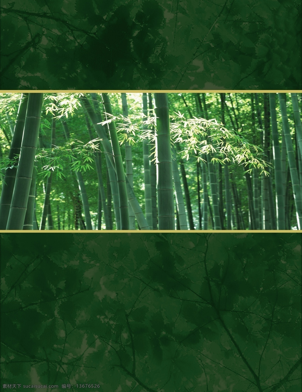 竹叶 树叶 树林 绿 清新